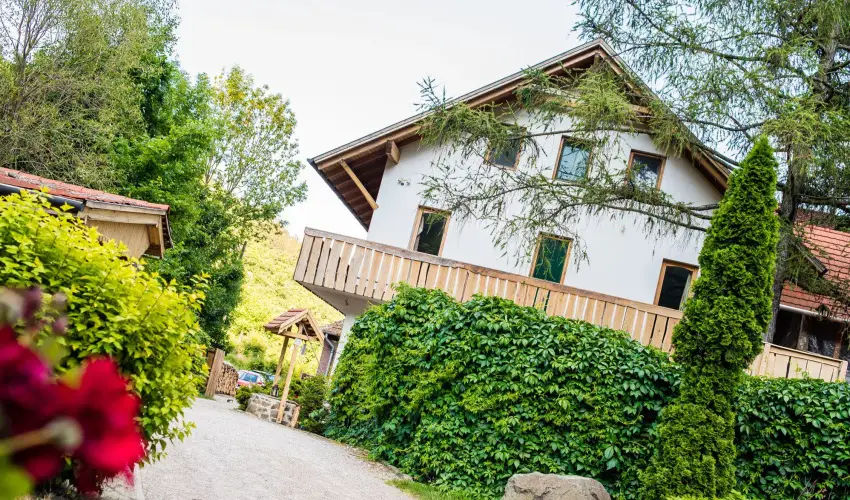 ko-Park Panzi Szarvask - Pnksd 