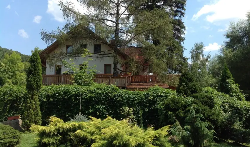 ko-Park Panzi Szarvask - Pnksd 