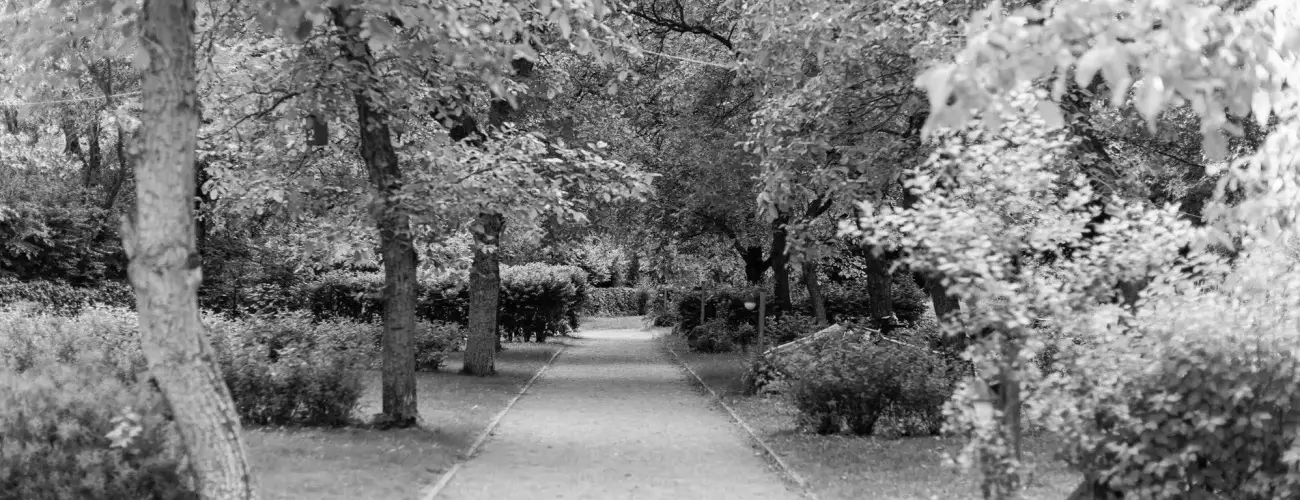 ko-Park Panzi Szarvask - Pnksd 