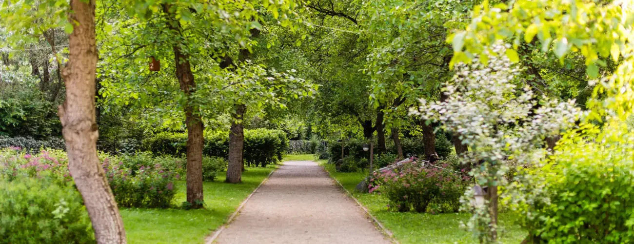 ko-Park Panzi Szarvask - Pnksd 