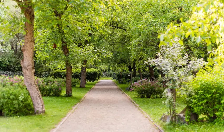 ko-Park Panzi Szarvask - Pnksd 