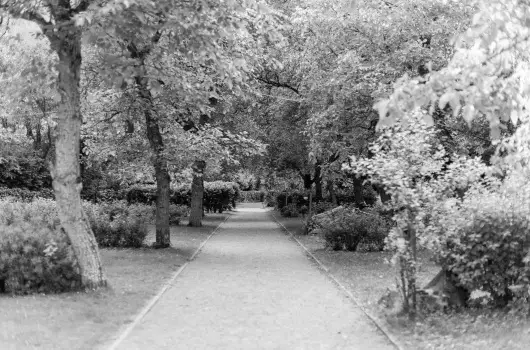ko-Park Panzi - Pnksd 