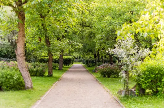 ko-Park Panzi - Pnksd 