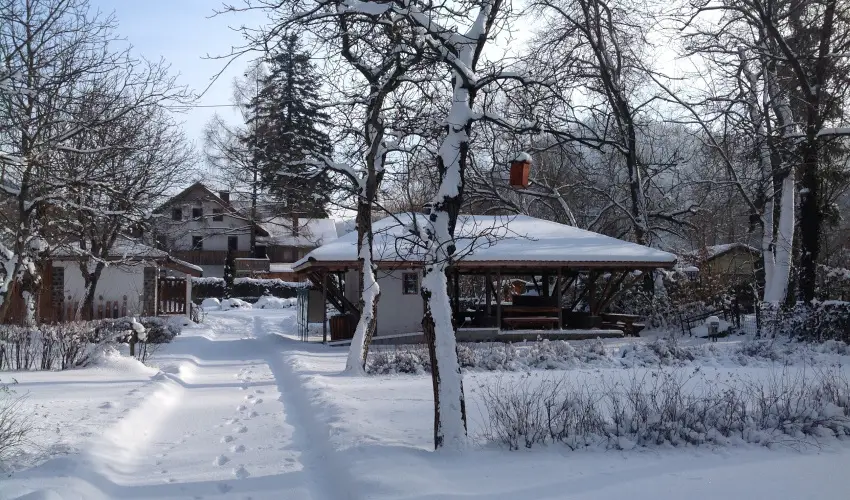 ko-Park Panzi Szarvask - Pnksd 