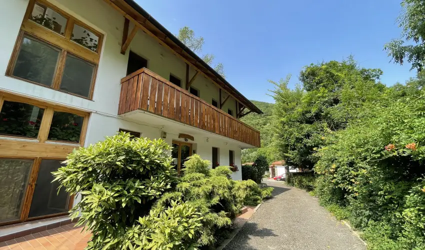 ko-Park Panzi Szarvask - Pnksd 