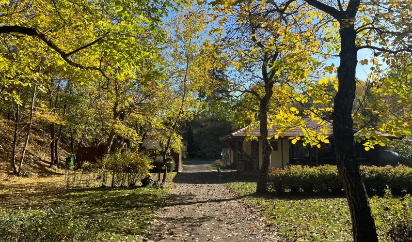 ko-Park Panzi Szarvask - Pnksd 