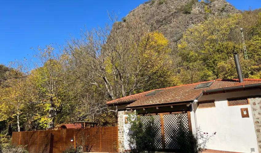 ko-Park Panzi Szarvask - Pnksd 