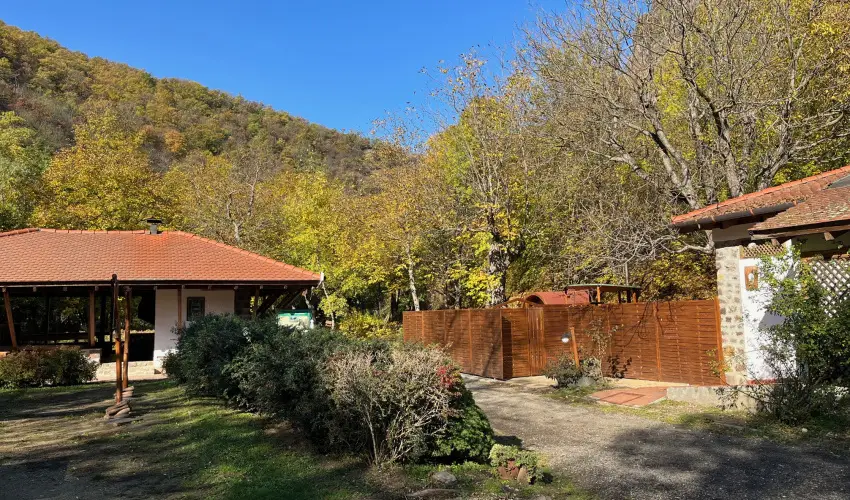 ko-Park Panzi Szarvask - Pnksd 