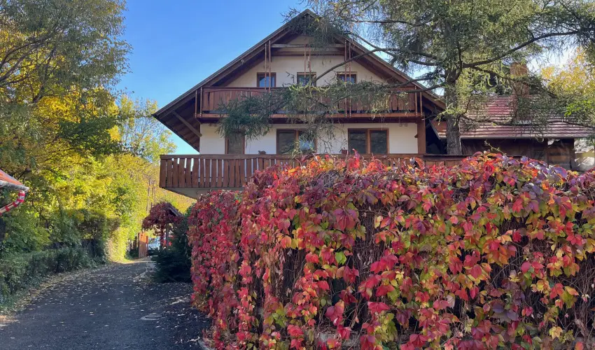 ko-Park Panzi Szarvask - Pnksd 