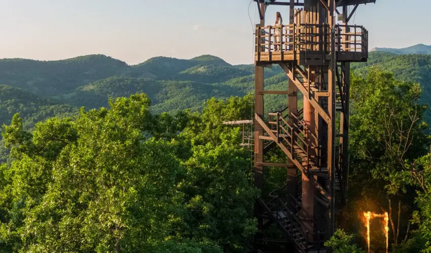 ko-Park Panzi Szarvask - Pnksd 