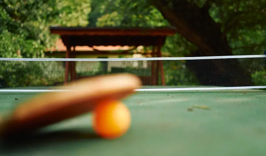 ko-Park Panzi Szarvask - Pnksd 