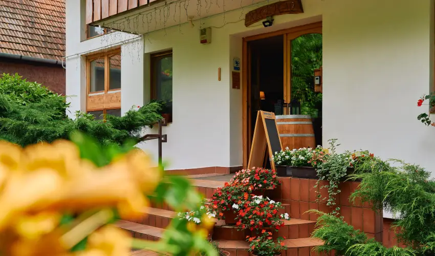 ko-Park Panzi Szarvask - Pnksd 