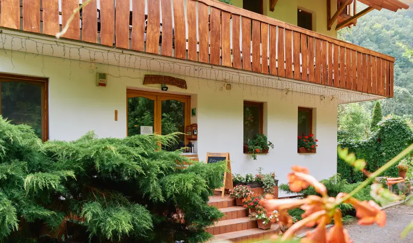 ko-Park Panzi Szarvask - Pnksd 