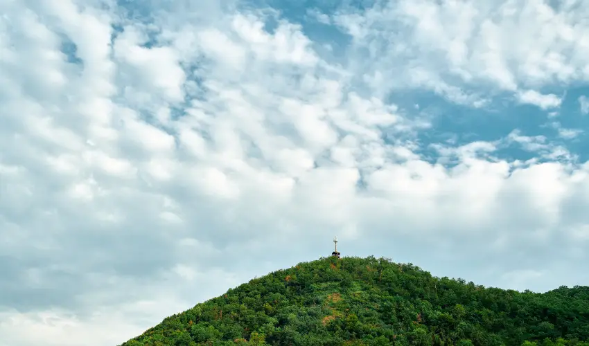 ko-Park Panzi Szarvask - Pnksd 