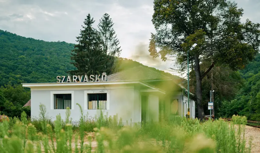 ko-Park Panzi Szarvask - Pnksd 