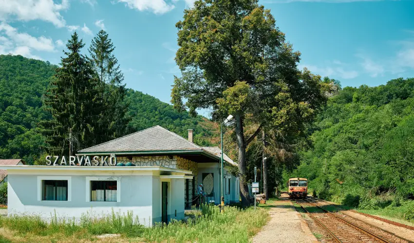 ko-Park Panzi Szarvask - Pnksd 