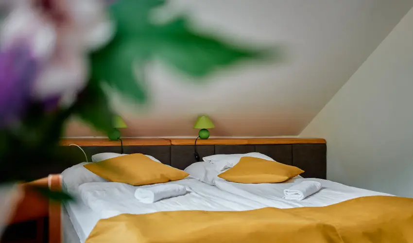 ko-Park Panzi Szarvask - Pnksd 