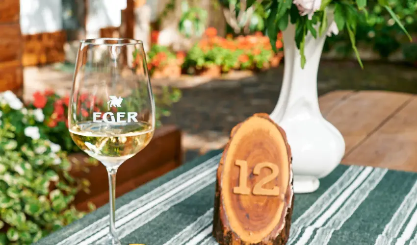 ko-Park Panzi Szarvask - Pnksd 