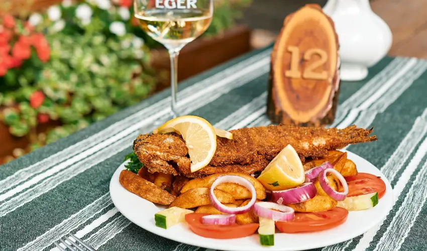 ko-Park Panzi Szarvask - Pnksd 