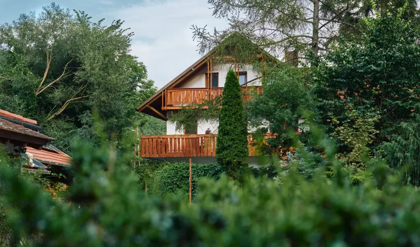 ko-Park Panzi Szarvask - Pnksd 