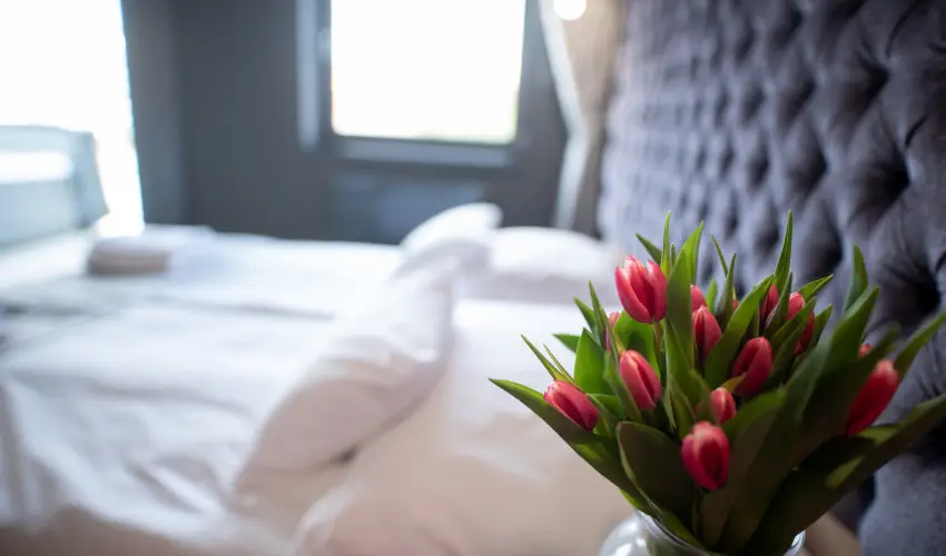 Onyx Luxury Srvr Srvr - Pnksd