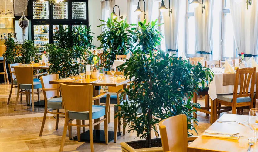 reg Halsz tterem s Fogad Tt - Pnksd 