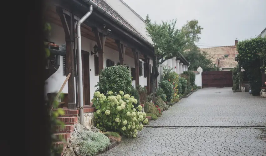 reg Prs Butikhotel Mr - Pnksd 