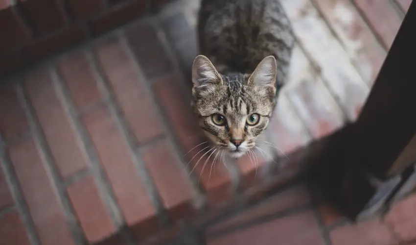 reg Prs Butikhotel Mr - Pnksd 