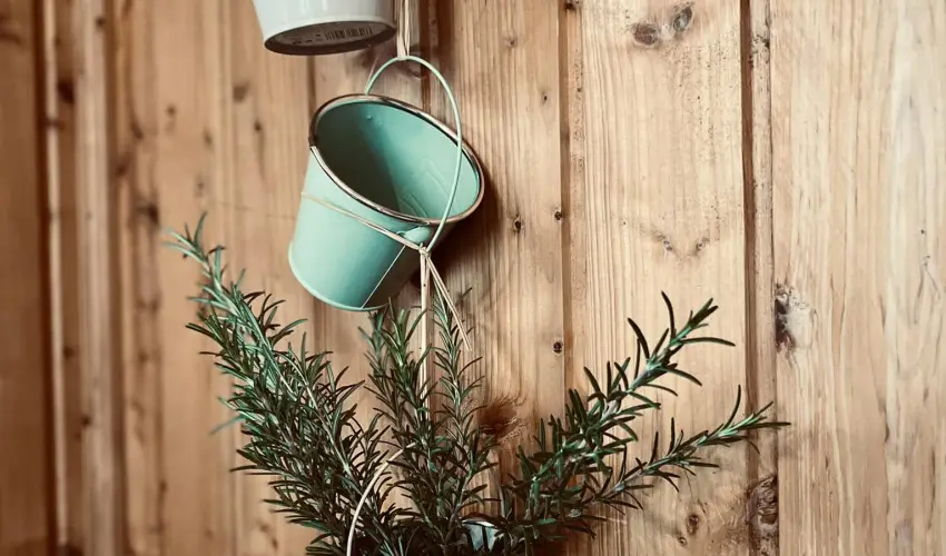 reg Prs Butikhotel Mr - Pnksd 