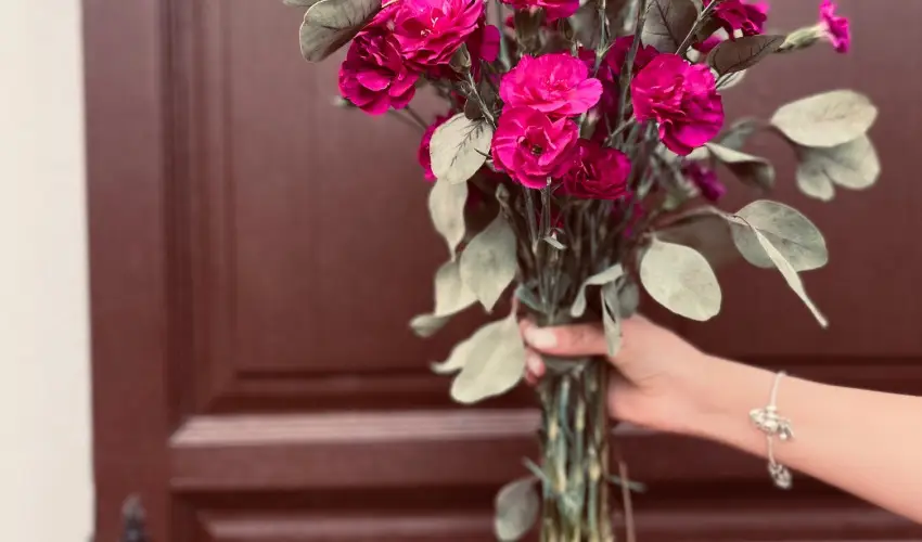 reg Prs Butikhotel Mr - Pnksd 