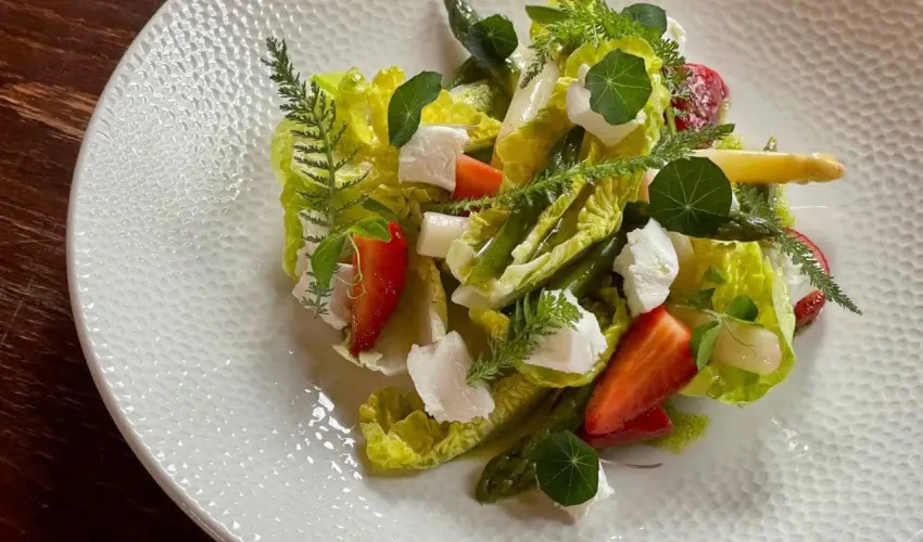 reg Prs Butikhotel Mr - Pnksd 