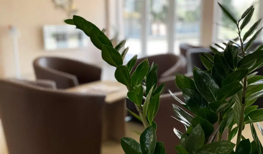 reg-t Hotel Tata - Pnksd