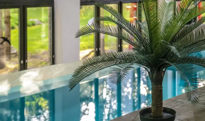 Oxig�n Family Hotel Noszvaj - P�nk�sd