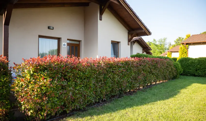 Pandora Zsry Apartmanok Mezkvesd - Pnksd 