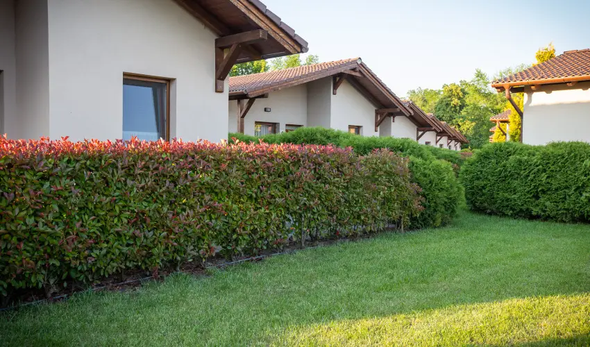 Pandora Zsry Apartmanok Mezkvesd - Pnksd 