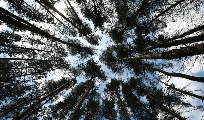 Panorma Hotel Noszvaj Noszvaj - Pnksd 