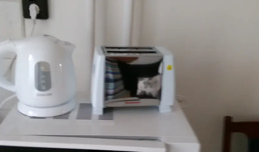 Paprika Vendghz Harkny - Pnksd (min. 2 j)