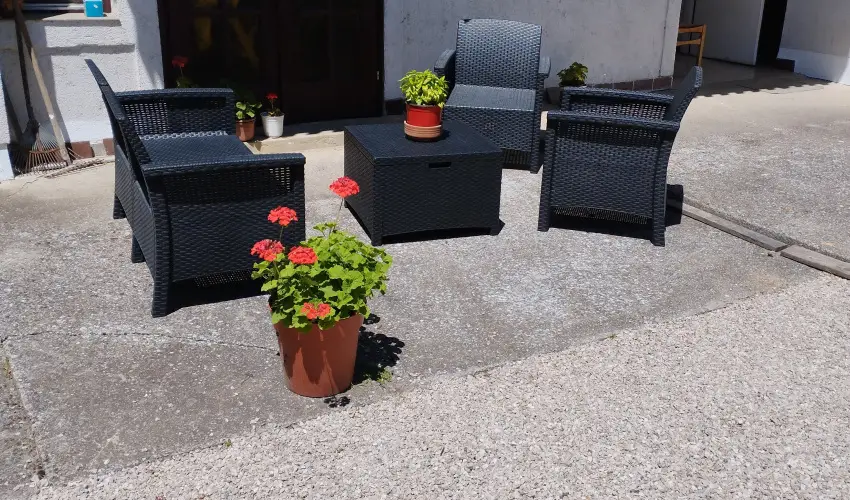 Paprika Vendghz Harkny - Pnksd (min. 2 j)