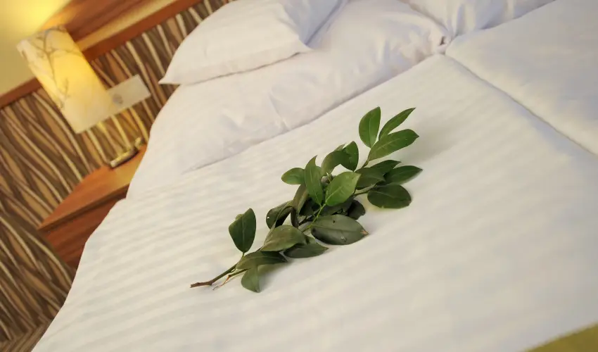 Park Hotel Gyula Gyula - Pnksd (min. 3 j)