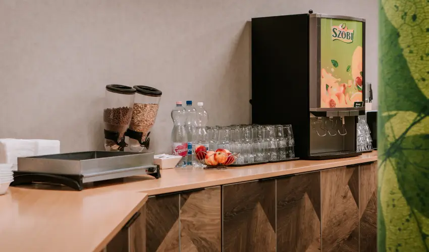 Park Hotel Sst Nyregyhza - Pnksd