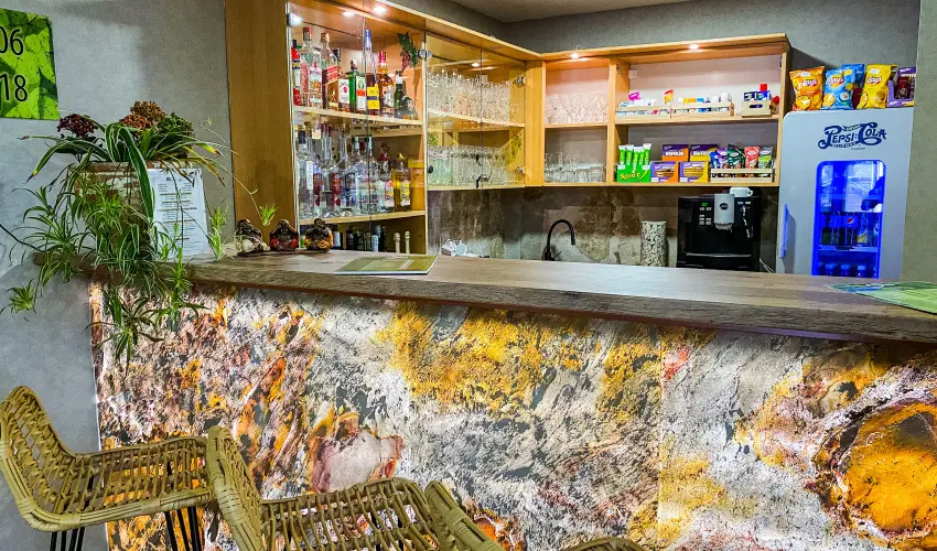 Park Hotel Sst Nyregyhza - Pnksd