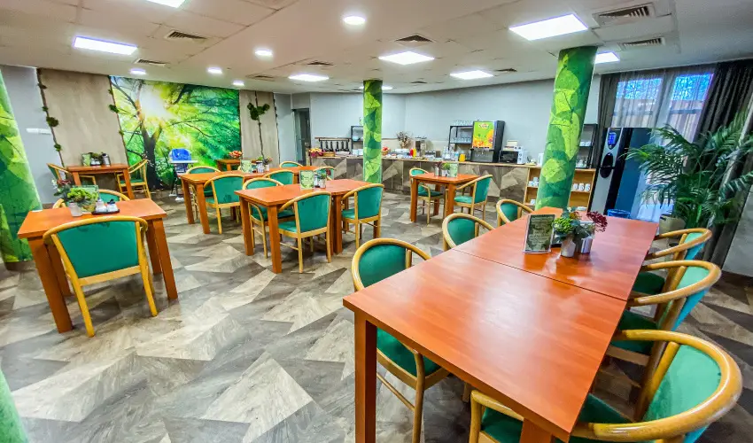 Park Hotel Sst Nyregyhza - Pnksd