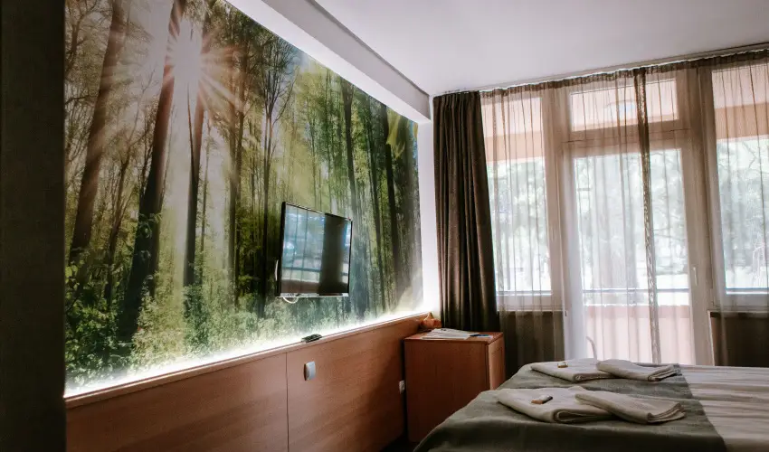 Park Hotel Sst Nyregyhza - Pnksd