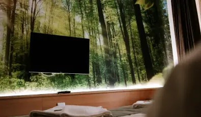 Park Hotel Sst Nyregyhza