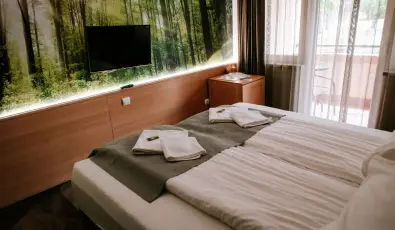 Park Hotel Sst Nyregyhza