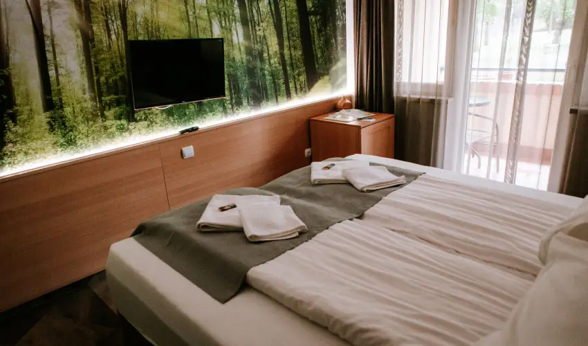 Park Hotel Sst Nyregyhza - Pnksd