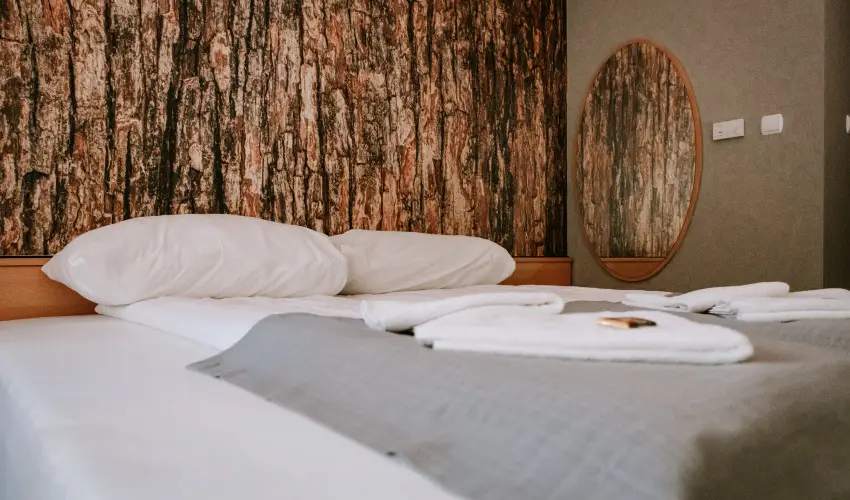 Park Hotel Sst Nyregyhza - Pnksd