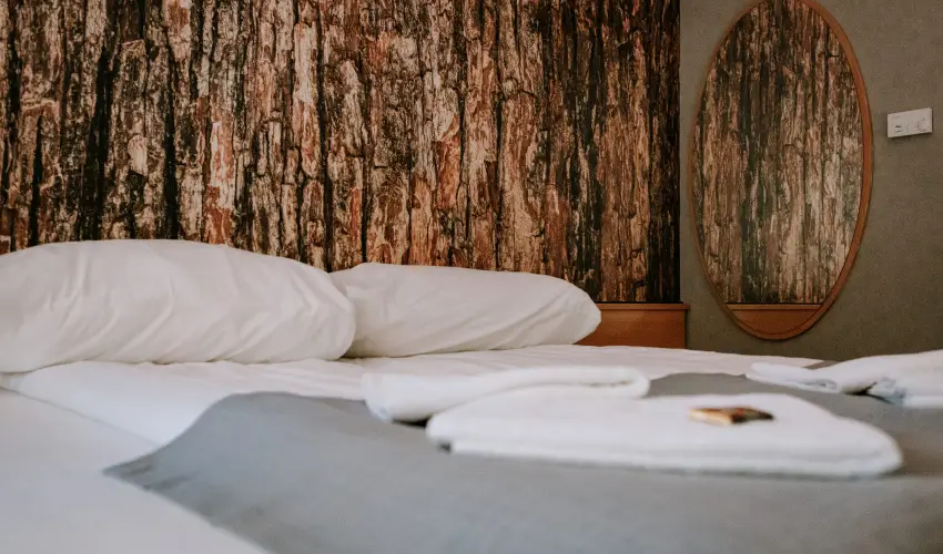 Park Hotel Sst Nyregyhza - Pnksd