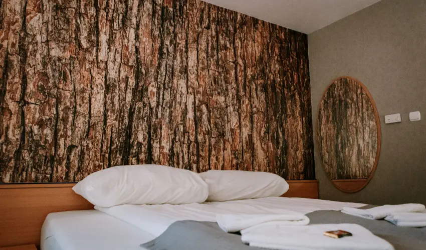 Park Hotel Sst Nyregyhza - Pnksd