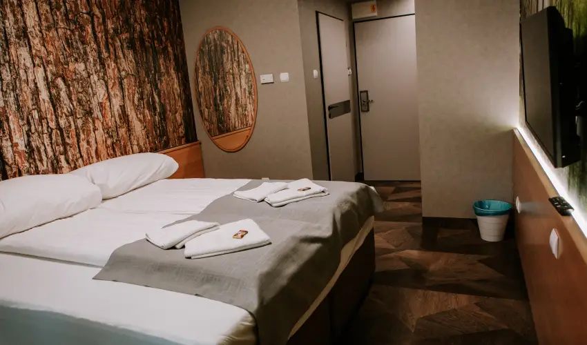 Park Hotel Sst Nyregyhza - Pnksd